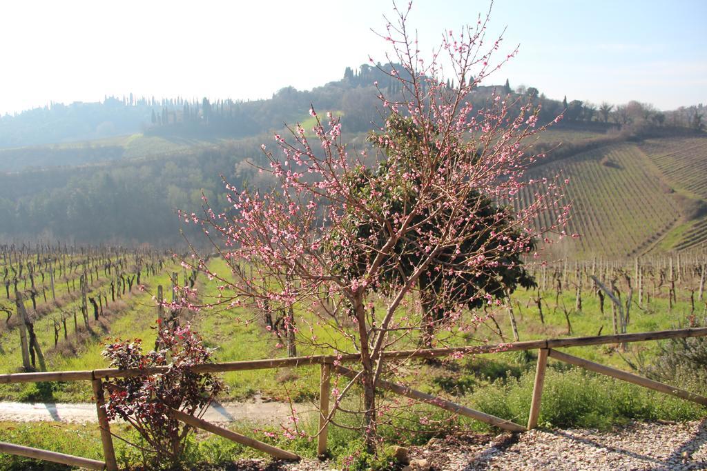 Agriturismo Torre Prima Holidays San Gimignano Kültér fotó