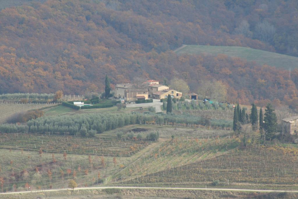 Agriturismo Torre Prima Holidays San Gimignano Kültér fotó