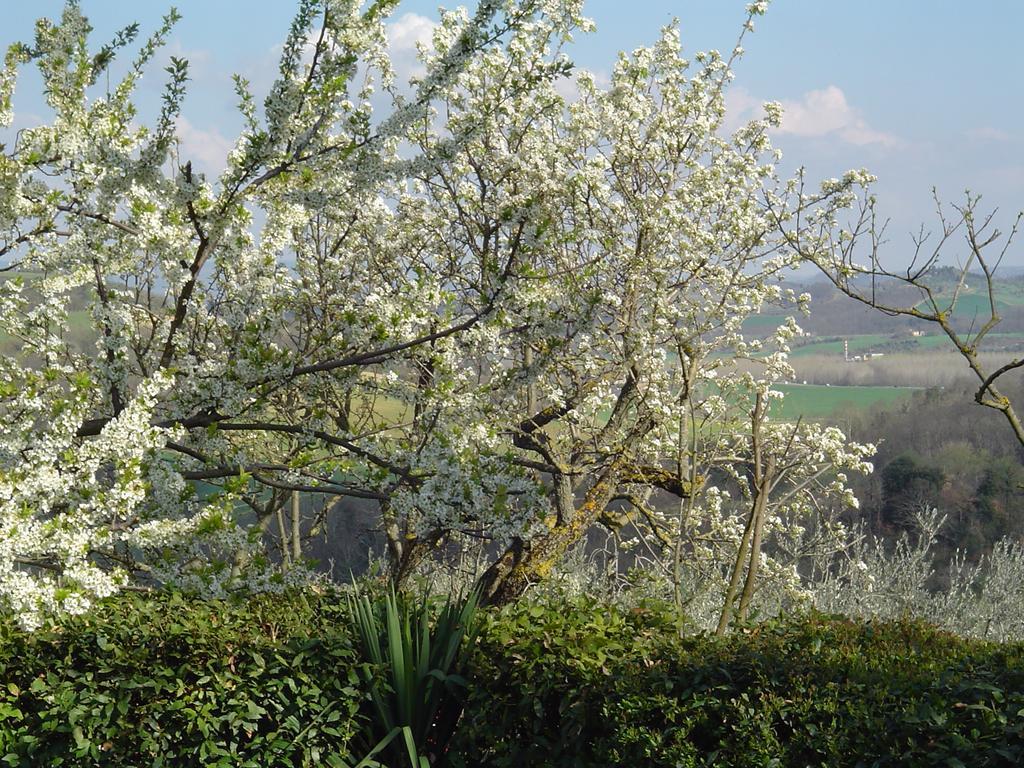 Agriturismo Torre Prima Holidays San Gimignano Kültér fotó