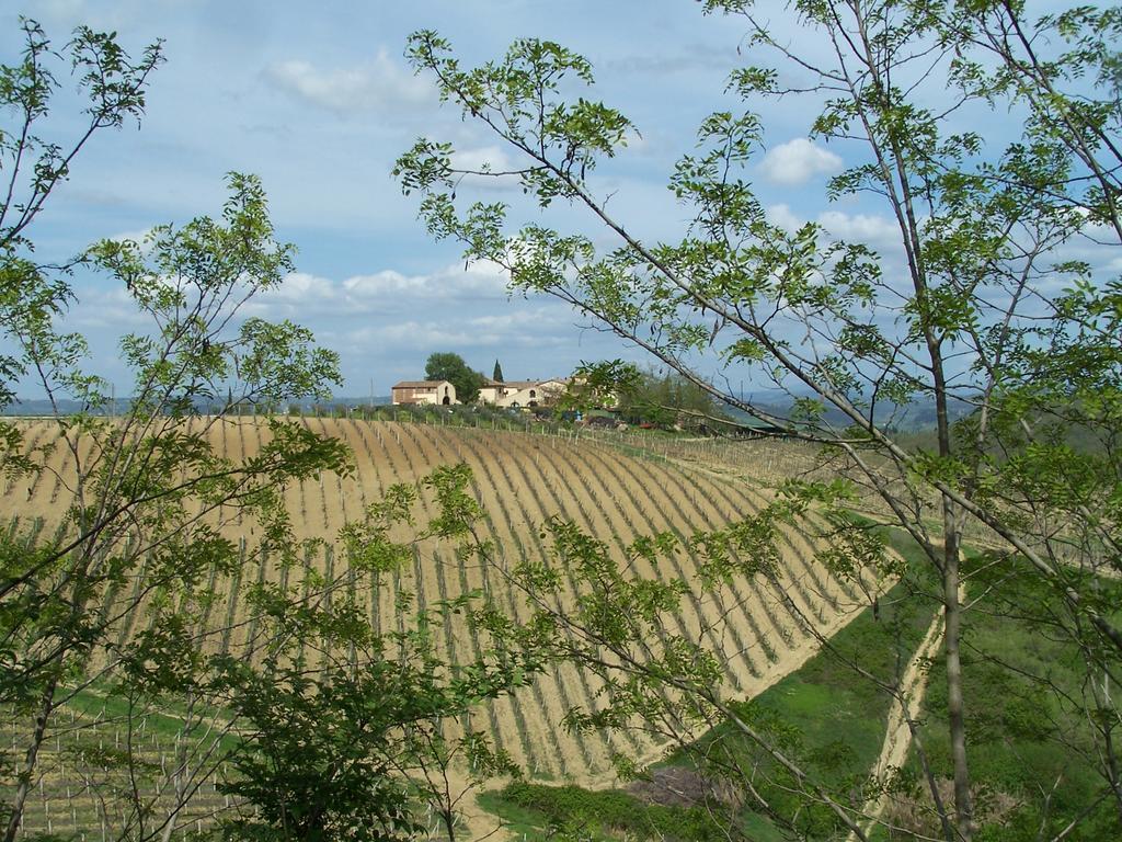 Agriturismo Torre Prima Holidays San Gimignano Kültér fotó