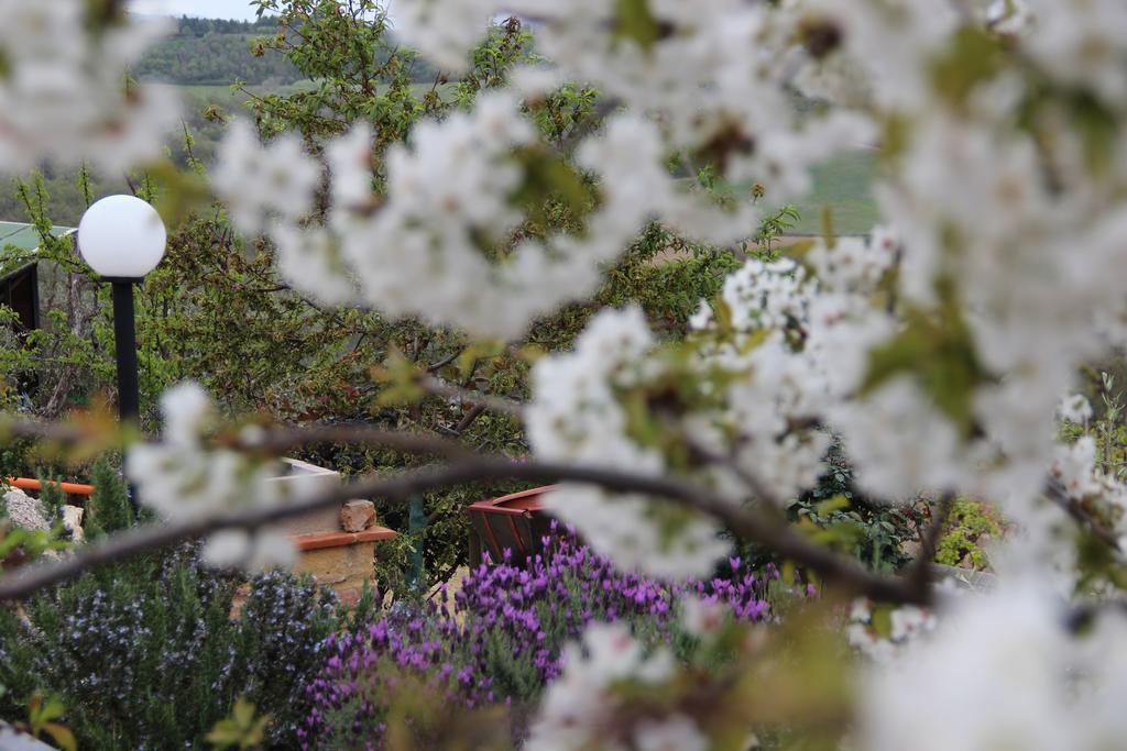 Agriturismo Torre Prima Holidays San Gimignano Kültér fotó